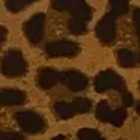 Leopard Print Crosta & Black Calf